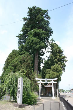 小舟渡八幡宮