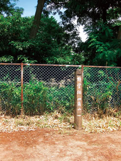 四ッ角山跡の標柱