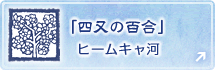 『四又の百合』のヒームキャ河