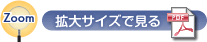 PDFの拡大サイズで見る